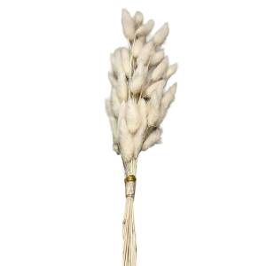 22-3108 Μπουκέτο Αποξηραμένα Bunny Tails 25 Κλαδιά Μπεζ ~60cm , Πασχαλινά