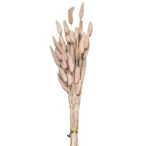 22-3109 Μπουκέτο Αποξηραμένα Bunny Tails 25 Κλαδιά ροζ 60cm , Πασχαλινά