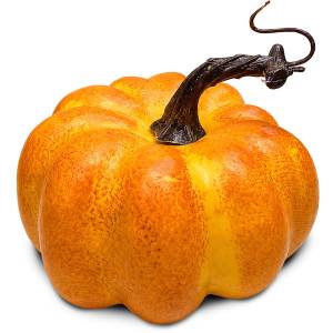 3-2741 Κολοκύθα Φρούτο 13x11cm , Halloween